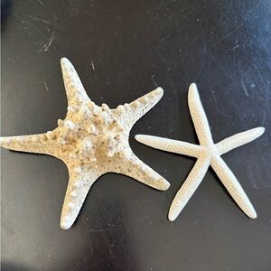 Decorative Natural Starfish Pair - Neutral Beige